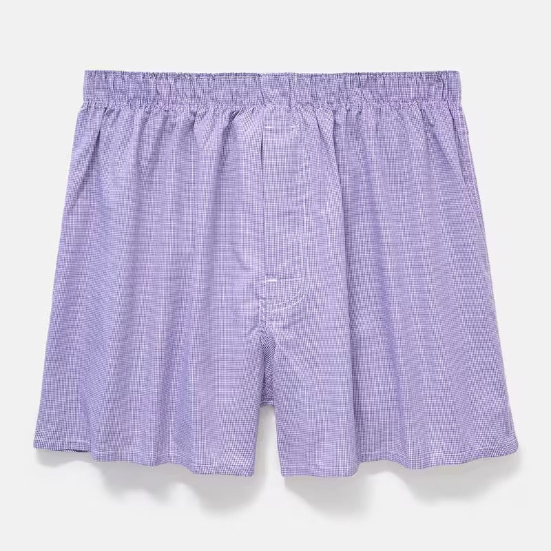 Plante d’intérieur