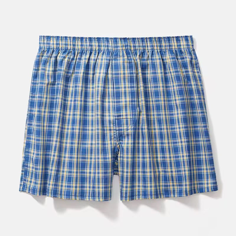 Plante d’intérieur