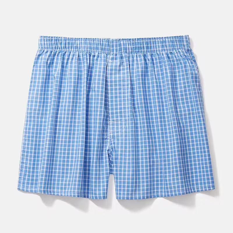 Plante d’intérieur