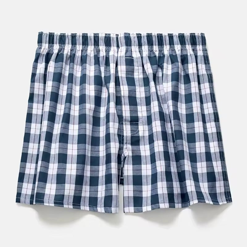 Plante d’intérieur