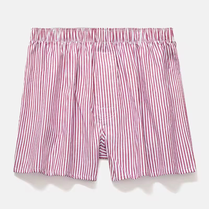 Plante d’intérieur