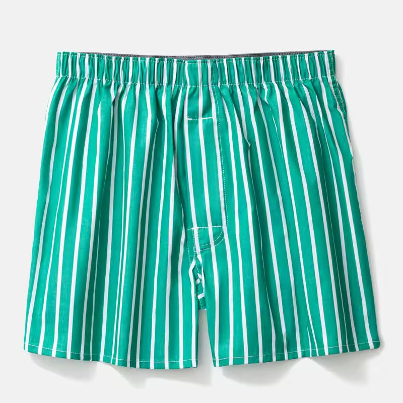 Plante d’intérieur