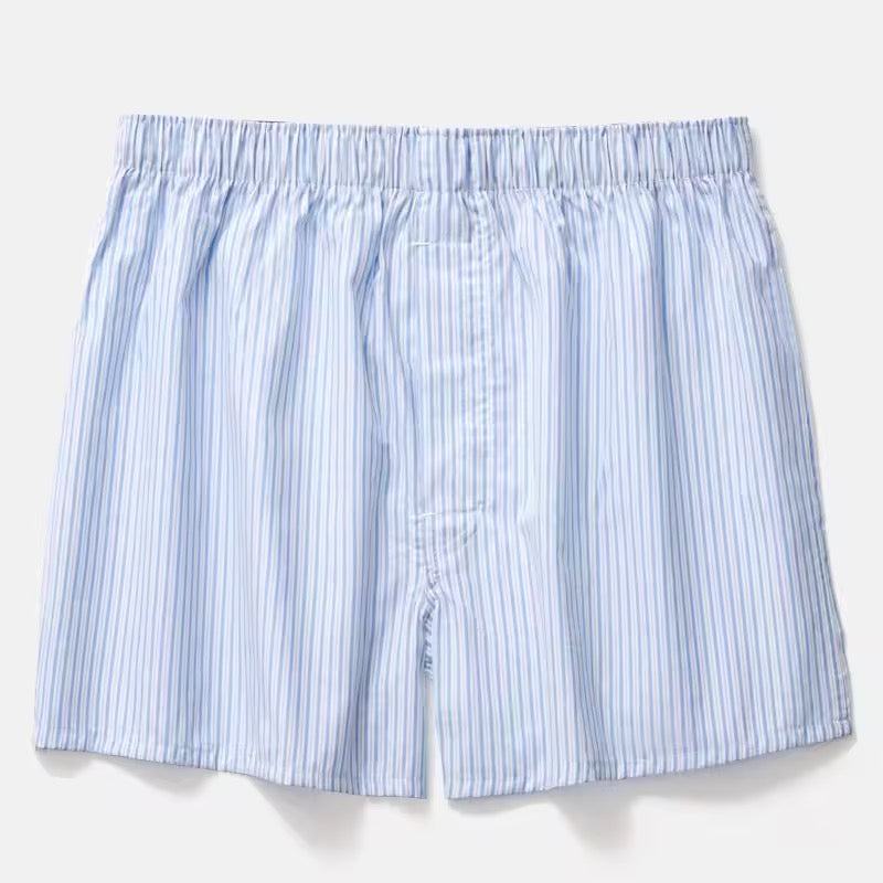 Plante d’intérieur