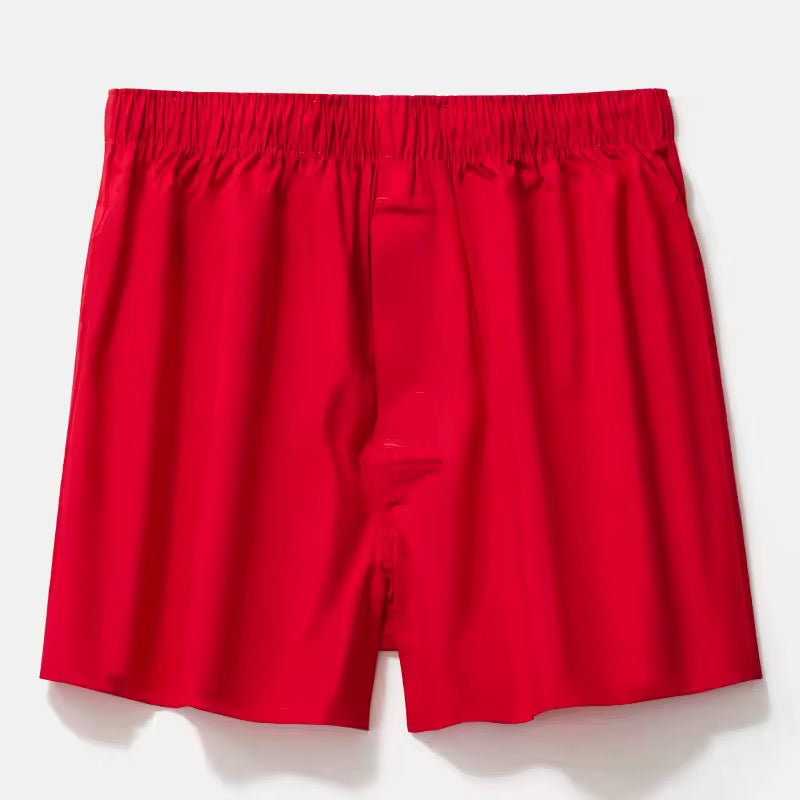 Plante d’intérieur